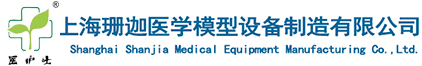 心肺复苏模拟人|电脑心肺复苏模拟人|上海医护士心肺复苏模拟人-上海珊迦医学模型设备制造有限公司