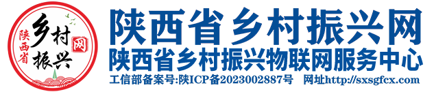 陕西省乡村振兴网