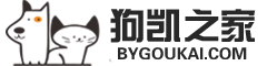 聚合支付 - 行业领先的免签约支付平台