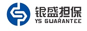 深圳市银盛融资担保有限公司
