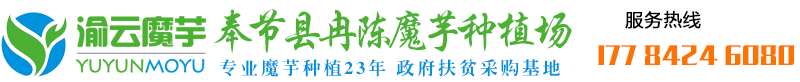 渝云魔芋-国内专业魔芋种植与魔芋种子供应商-奉节县冉陈魔芋种植场