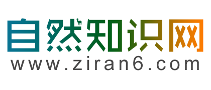 自然知识网_有关于自然的知识科学科普百科资料大全