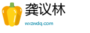 龚议林