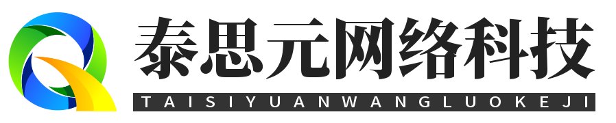上海泰思元网络科技有限公司seo搜索引擎优化